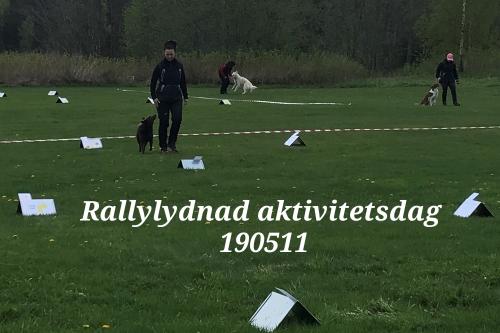 Rallylydnad aktivitetsdag 190511