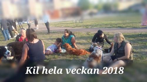 Kil hela veckan 2018