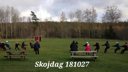 Skojdag 181027