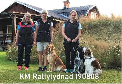 KM Rallylydnad 190808