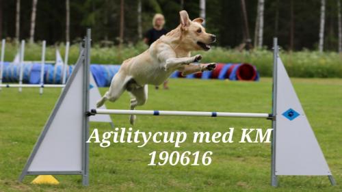 Agilitycup med KM 190616